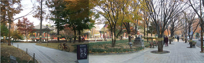 慶尚監営公園