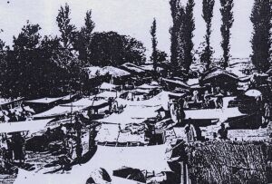 �]�i�̗��j