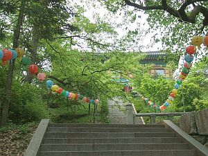 �Վ�R ��C��  