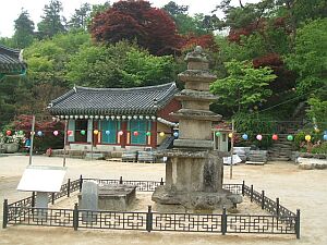 �Վ�R ��C��  