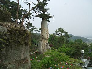 �Վ�R ��C��  