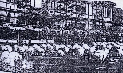 �{���q�포�w�Z