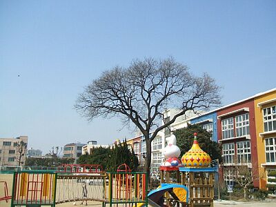 ���H�����w�Z